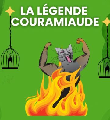 Publication Animations Festival Animée - 8 Publication Animations Festival Animée - 8